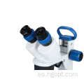 Microscopio binocular de microscopeto estereo WF10x/20 mm